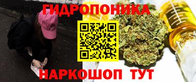 шишки Когалым